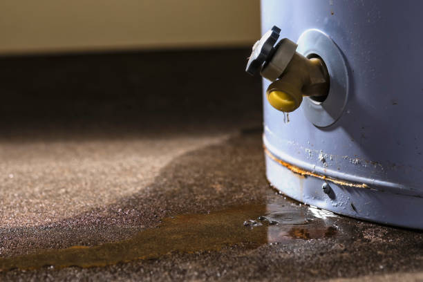 Best Water damage contractors near me  in Kamas, UT