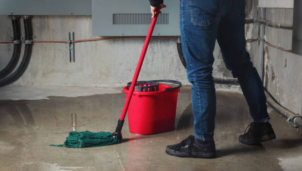 Best Local water damage restoration  in Kamas, UT