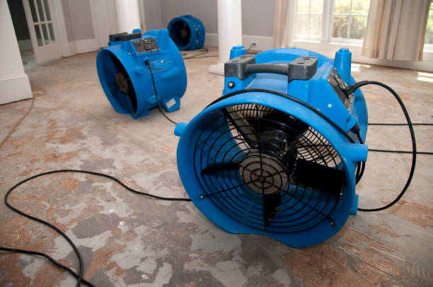 Best Water damage cleanup near me  in Kamas, UT