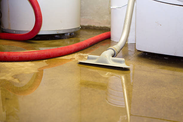 Best Water damage cleanup near me  in Kamas, UT