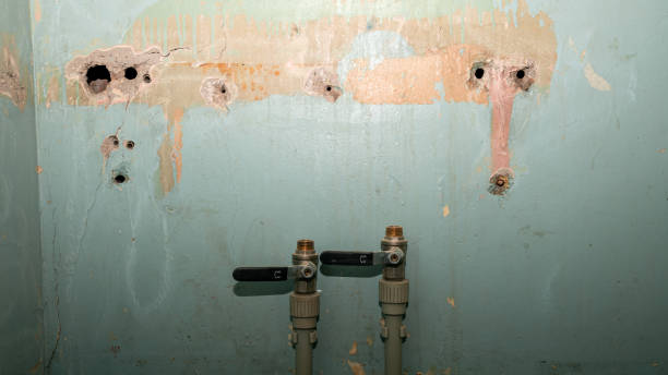 Best Emergency water extraction  in Kamas, UT