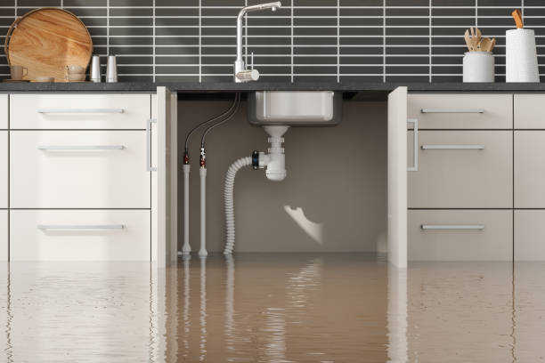 Best Commercial water damage restoration  in Kamas, UT