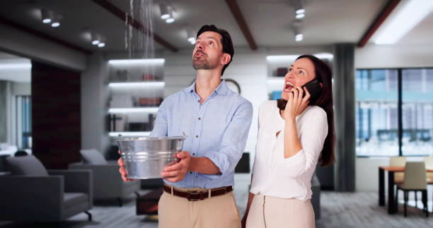 Best Ceiling water damage repair  in Kamas, UT