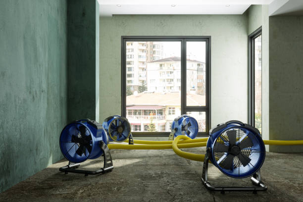 Best Water damage restoration near me  in Kamas, UT