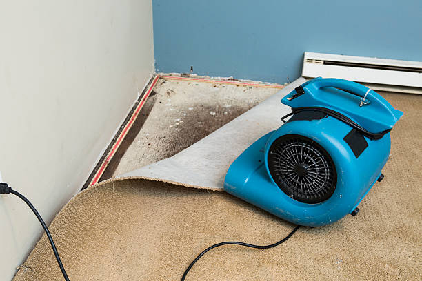 Best Sewage cleanup and water damage restoration  in Kamas, UT